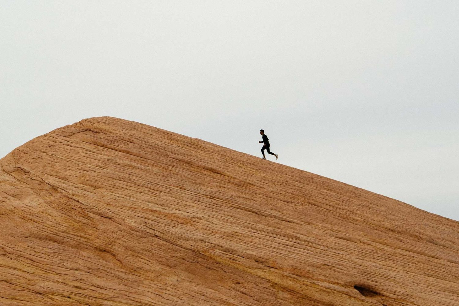 PURSUE, OVERTAKE, AND RECOVER!